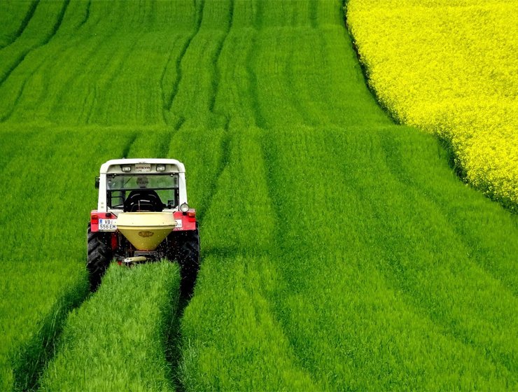 Agro Based Industries